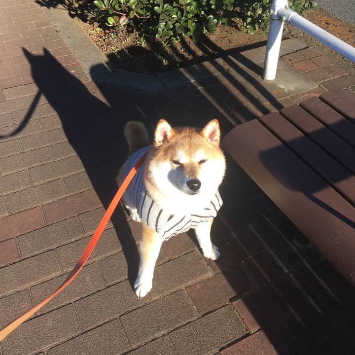 C06a6a1c 512c 4d19 ab90 a8a5d8aa4bb7 1547016607483