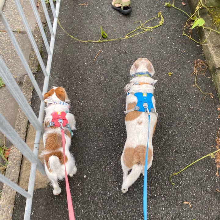 C06aced0 7aa6 4e91 9c36 bbac41afdf7d 1692152320629