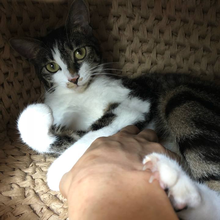 C06ada30 d86f 40f7 826f 082a8aca83ad 1527694672521