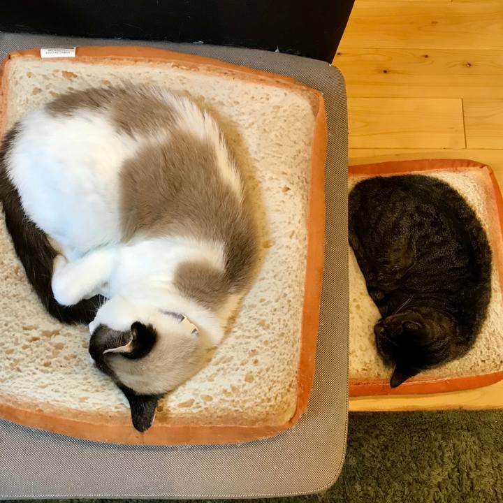 C06ae866 6348 4f1c b861 3df190025a93 1580260850424