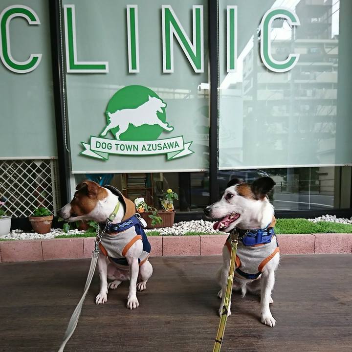 C06af37c d09e 4227 8b8c ebb78705e7ab 1576644222092