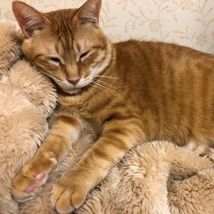 C06b0924 9077 4222 8cd6 257679dfa8fe 1573222954522