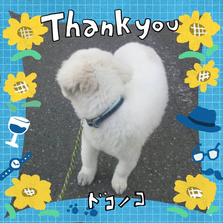 C06b4890 6639 4620 bc04 df66e1fb2c71 1717720661492