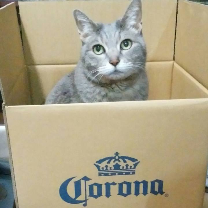 C06b7c73 7ea4 4840 a57d 9fec90f7faa3 1588158803417