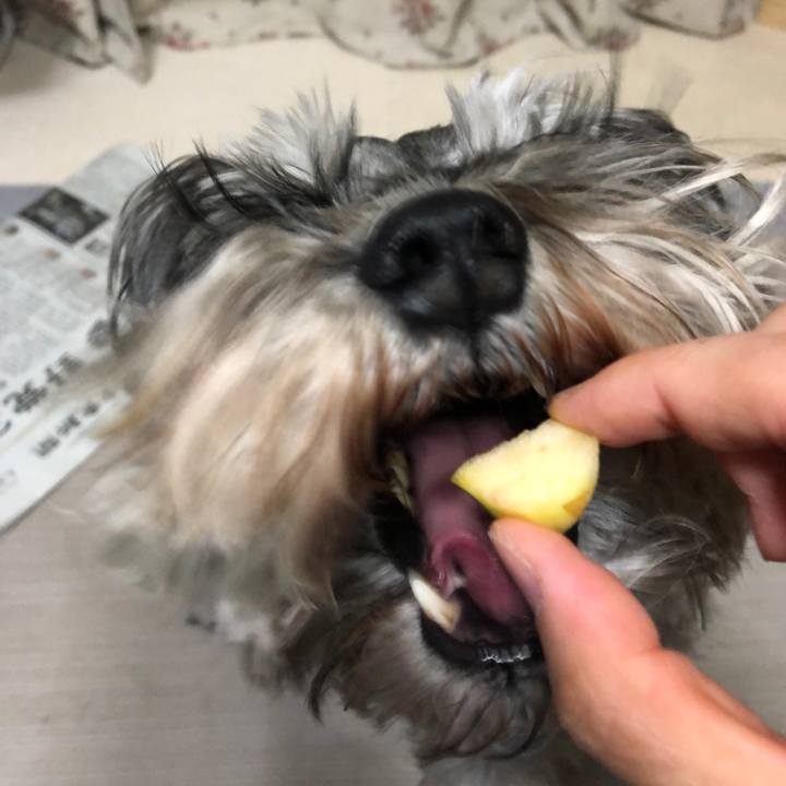 C06b9aca 01bd 46ac b14f a91dbb463e97 1619440037797