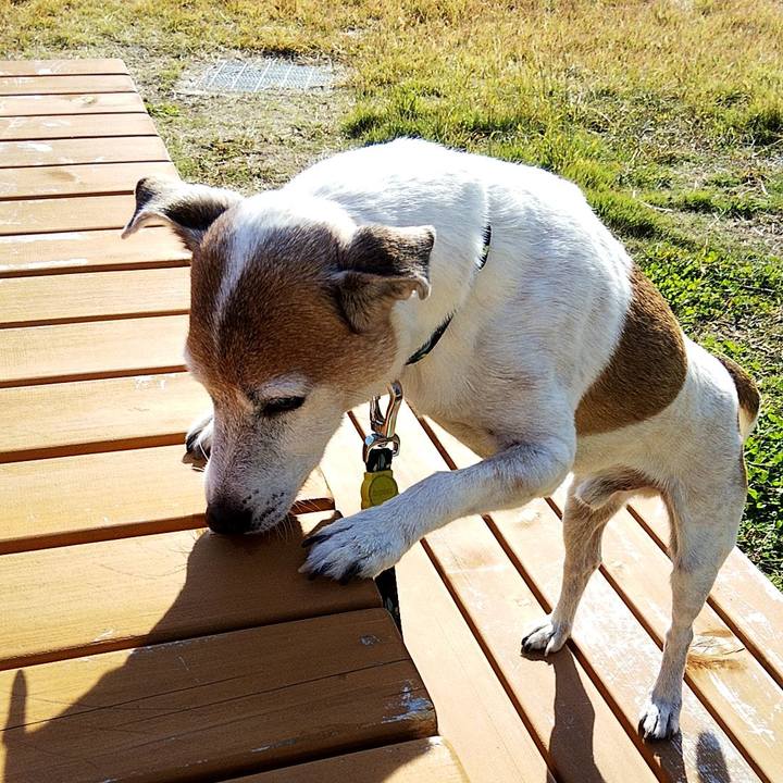 C06ba928 2d90 436b 8262 67ccf9dfc20f 1573361984868