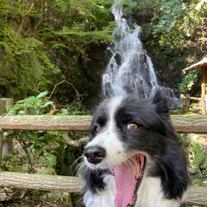 C06be0fc 64fe 4e8e 9635 f8e0b900f511 1630308458778