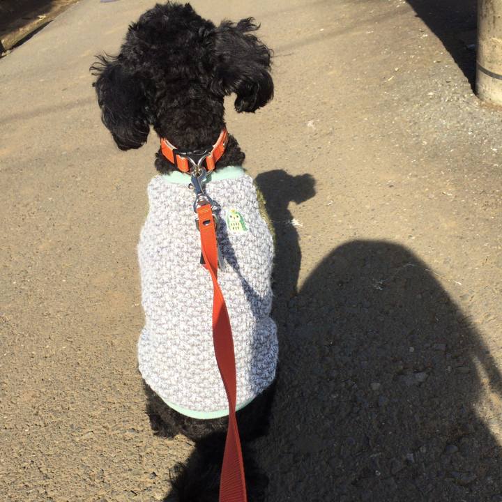 C06c29aa 500a 4f6e 860f 7807e48020da 1511064039289