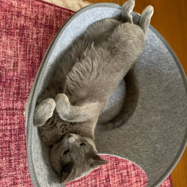 C06c6b73 13b2 4eaf 88ca 47eff4a9d08d 1593986178953