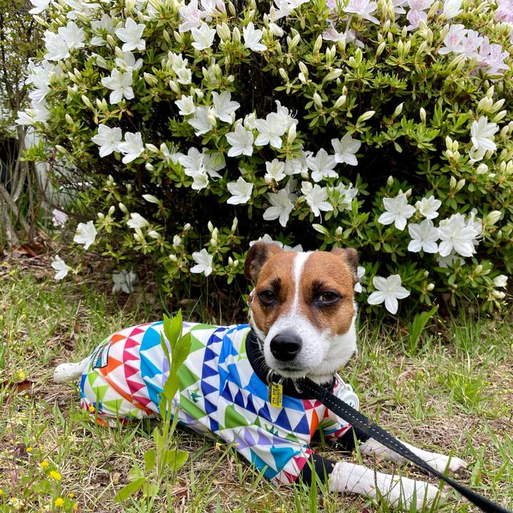 C06c93a5 1f82 4c01 ae1c f042e5c9d734 1652083947033