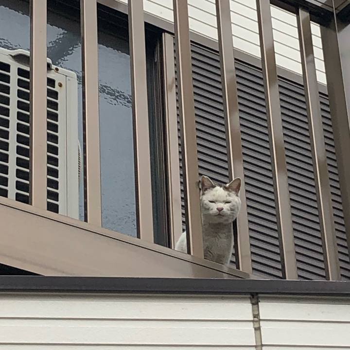 C06ca8c7 67ff 44b4 a149 cf3d9c1227ef 1555085813996