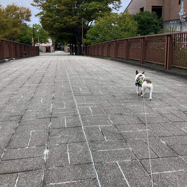 C06cf320 308c 498d b015 3aea3421720e 1697152786735