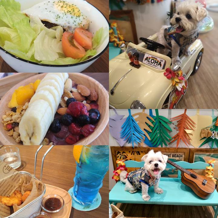 C06d125b b922 43d4 b355 a1dca8d1aa84 1722415422857