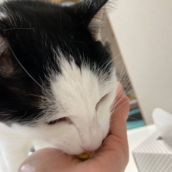 C06d1e82 5e4a 41fa 850d e18e8bf9d306 1652338197737