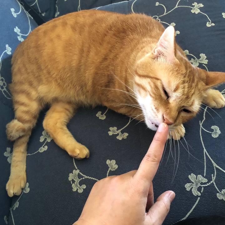 C06d2fd3 4243 4b4d a357 0e8248aef2b4 1565048703397