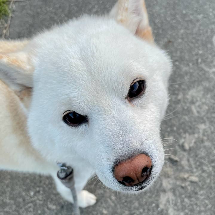 C06d5d6e a256 4cd9 abdd 797c2f8e0bd1 1620741350700