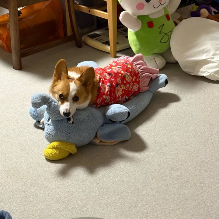 C06d8466 a0cb 4dc4 8ac2 b6455018b3bf 1770976519908