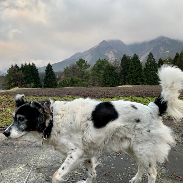 C06deada 28fa 42ba bb02 d6bf496774d3 1583032581039