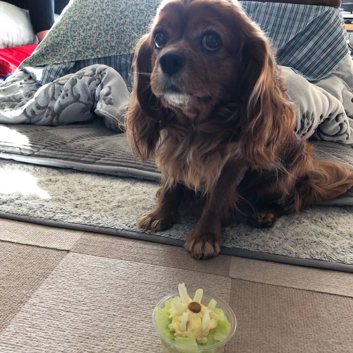 C06e07b5 687b 49fd bf19 609d0a48e41d 1645317368943