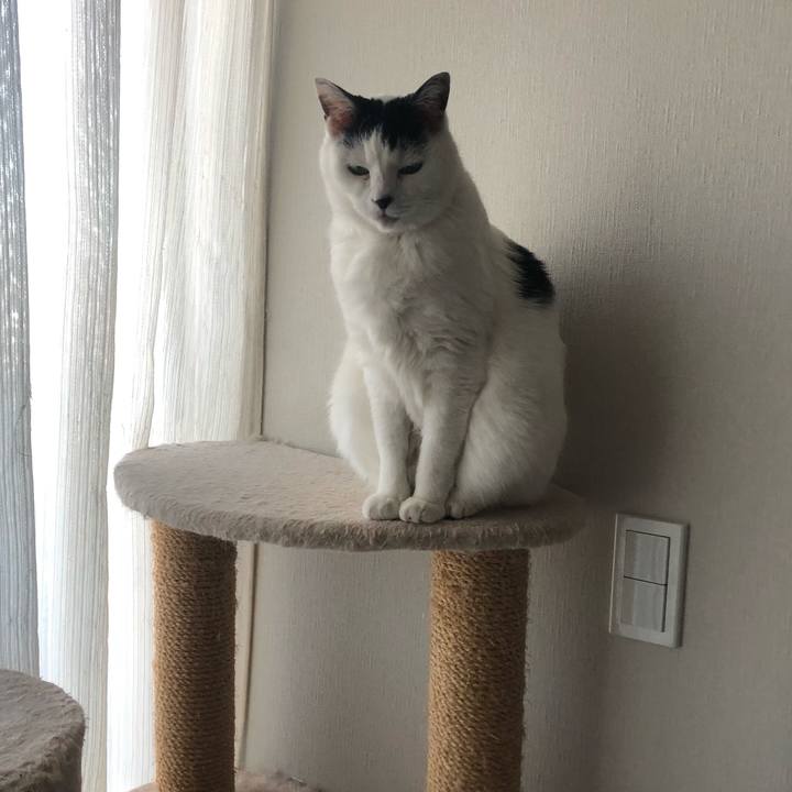 C06e235e 0dab 47c6 ac50 4959117d8f04 1582846533624