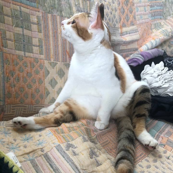 C06e2812 f13b 4bb7 96a2 ecb1c6d9ec05 1588472088656