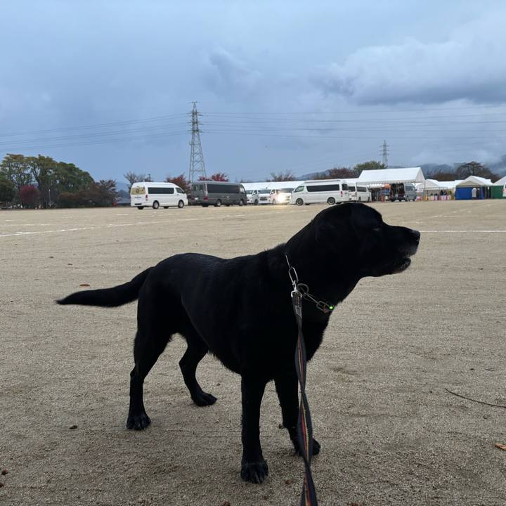 C06e57af e4ea 41c0 8795 9d8f31dfef38 1762779423595