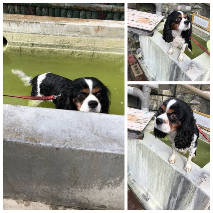 C06e6bcd c1a9 41b9 a74a da8bf430f2f9 1539489168800