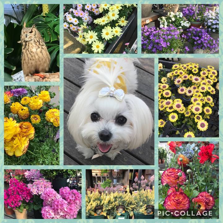 C06e716a 4639 47bc 9d28 99821ec1d37b 1521190648572