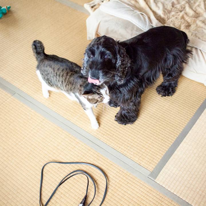 C06ec33e 0c2d 47d2 bbe8 77563a389b44 1587791979567