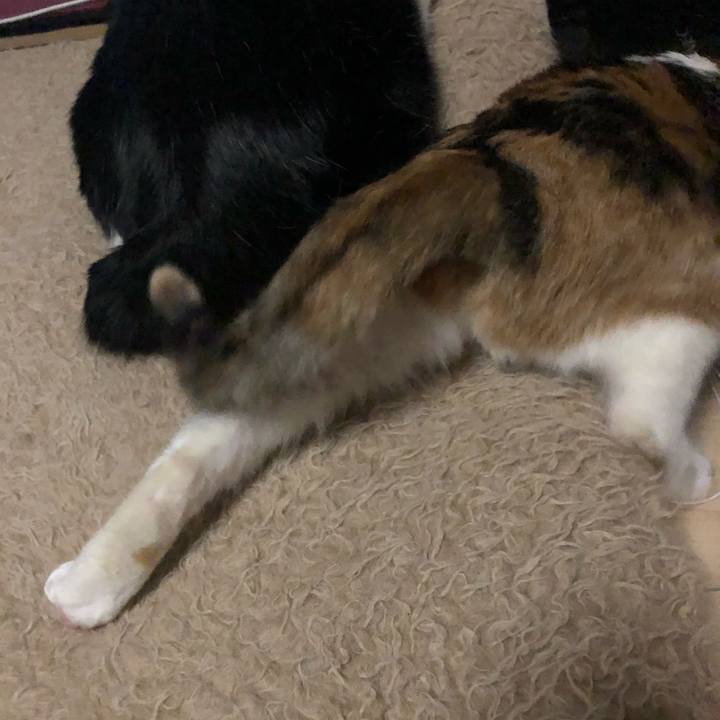 C06ec914 bbe9 4ef5 80c0 cbb48c53ac45 1613407547755