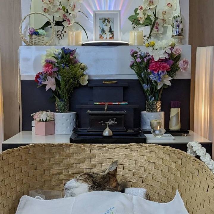 C06ecb77 590d 4f72 ac3c 3189b083c21e 1690422823319