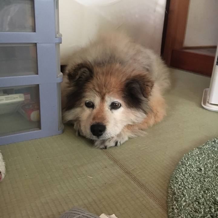 C06ee38e 362c 47a3 ad98 66bf14ed4b94 1550374288215