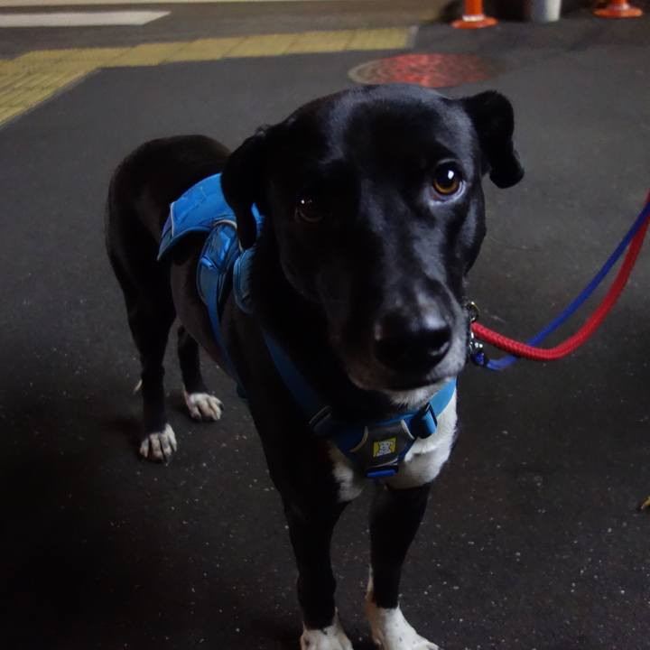 C06f39df 25f8 4c4c 847f 4ee1c986bed2 1610793815033