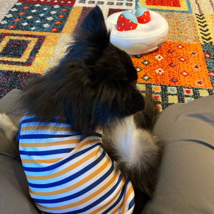 C06fa737 49be 4886 8871 ac638265efb6 1718553259064