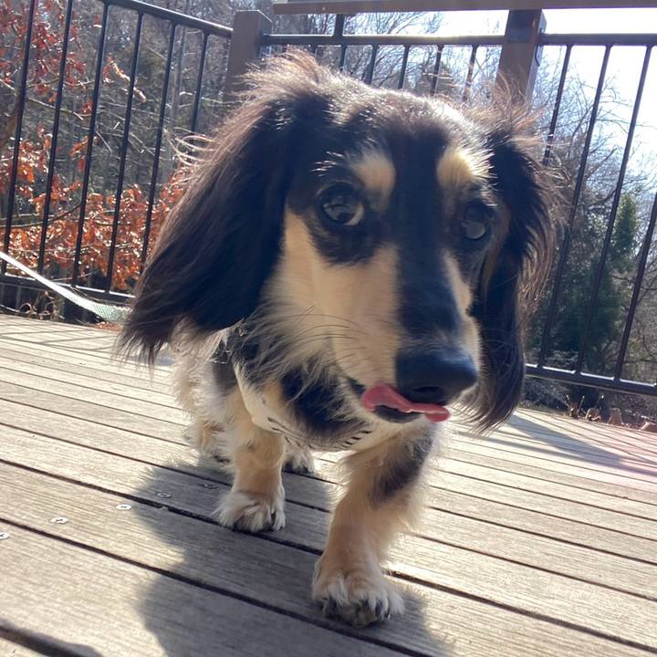 C06fcce7 f72b 4245 8417 f973dc44431c 1772356104526