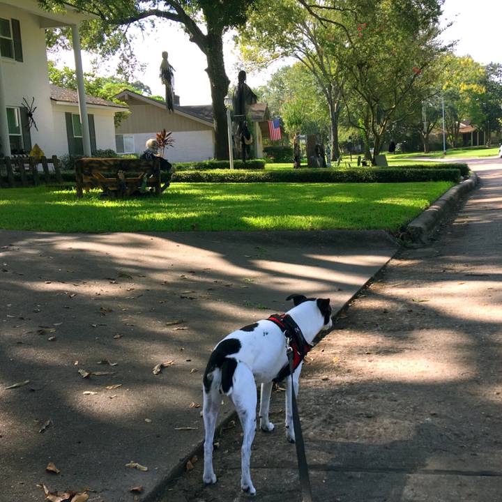 C06fdec6 2864 41ae b50e 59336ebd6402 1570053038446