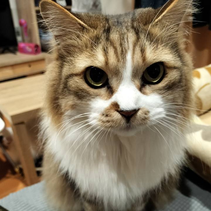 C070336b 2a42 44b9 834b d70ddfee9aca 1768313296320