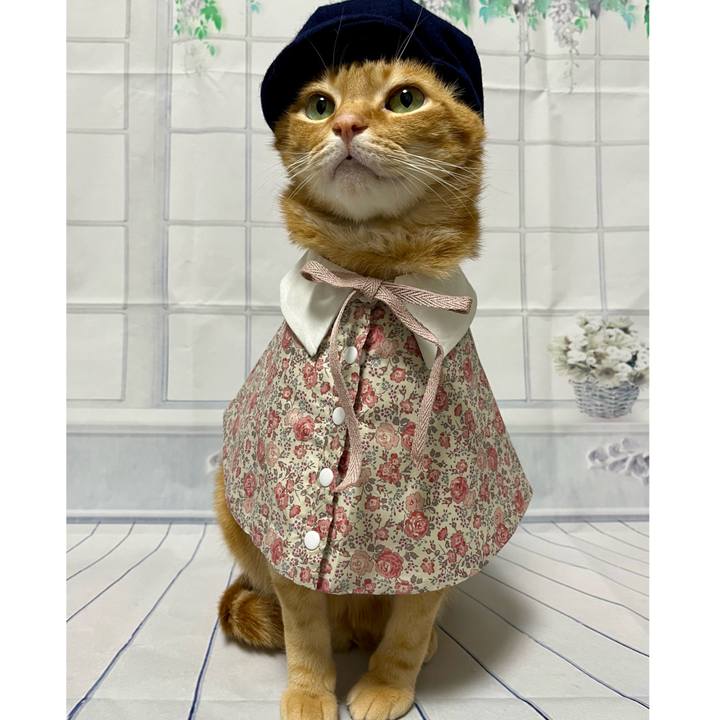 C07051db 43ec 43c1 95d6 f80f5d2aa046 1716982540170