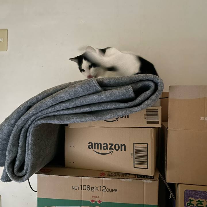 C0706d10 cf31 4448 b364 34eb5bc332de 1684793712641