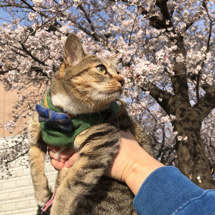 C07082e6 7982 4d95 a360 b33380daec64 1648888064563