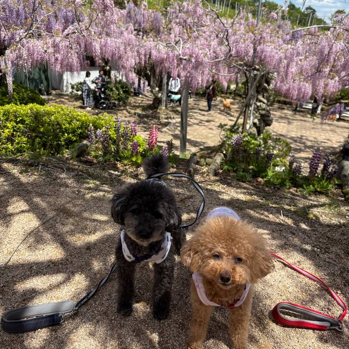 C070d5b8 e3a5 48cc 827e 5609f74260cd 1747308793378