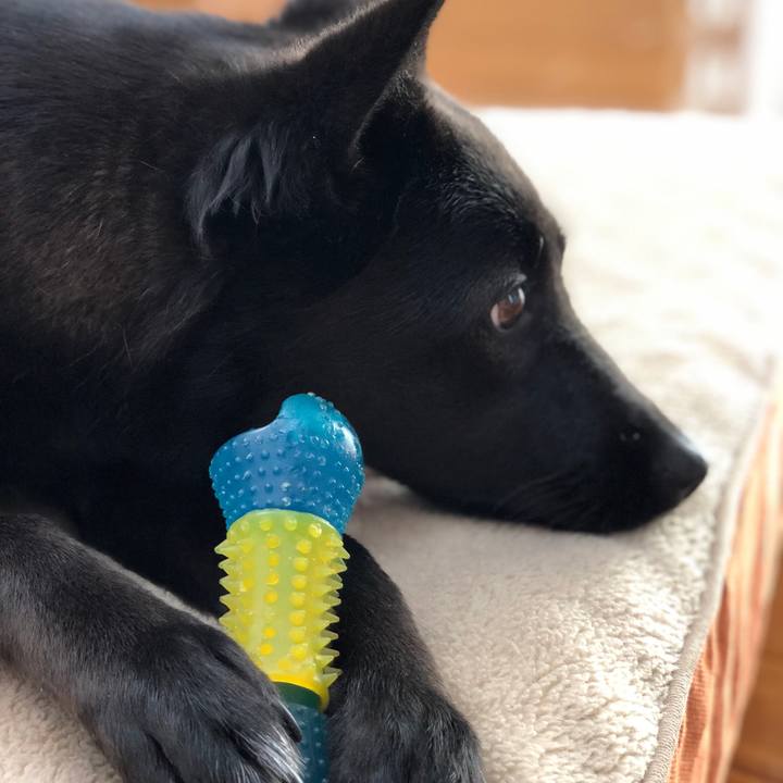 C0716329 c927 4c0a 8b30 5a2eaf0751f3 1555633200313