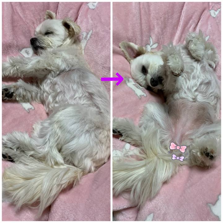 C0718372 5560 46dd 9d75 3a853e5f9b1b 1610285729712