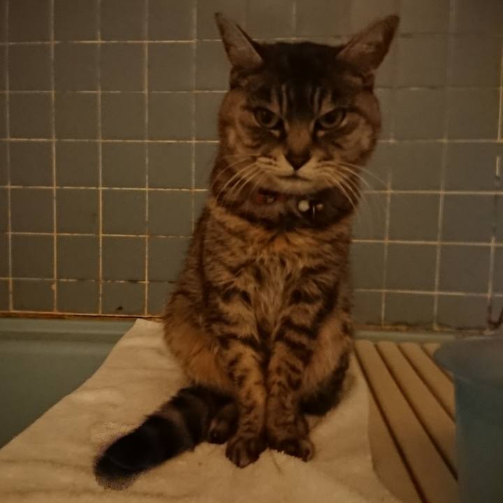 C071f224 1bf3 4ef4 b4e0 442186a829b9 1582105738709