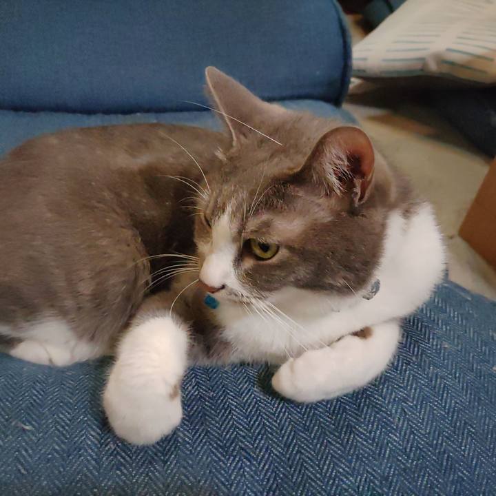 C0724a94 c188 4779 bb97 4a3792604fb9 1691065724147