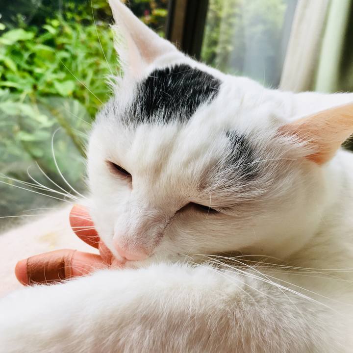 C0725653 6cd8 4ff4 8107 49a8f4d3d46b 1562472929245