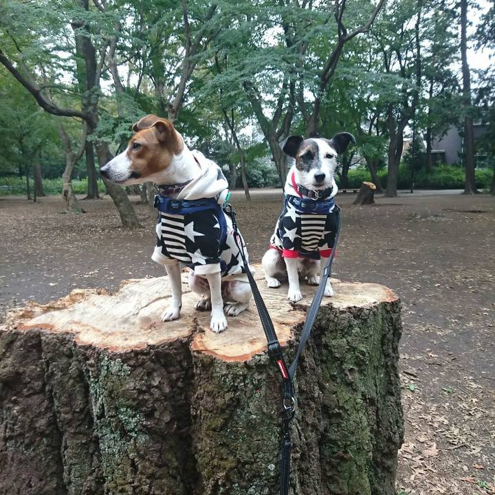 C072781a 5799 473c 82d8 6cd081b7406c 1541291114030