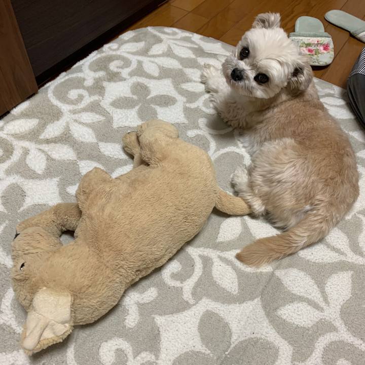 C0727e08 5cb2 4b3c bcc2 83b342dfe43a 1583414244968