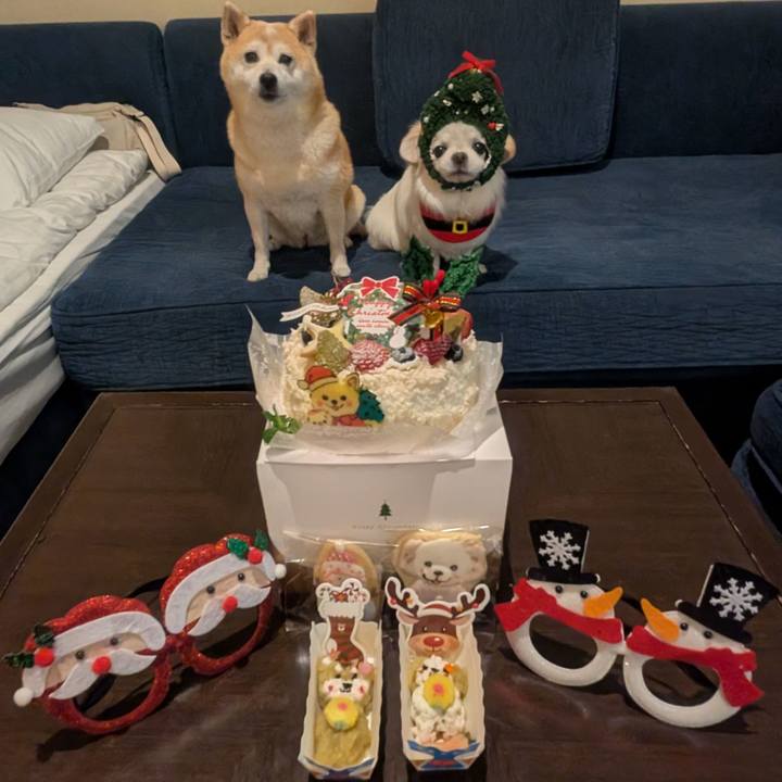 C0728617 2dc7 41ef 8716 8306243221cd 1766592146459