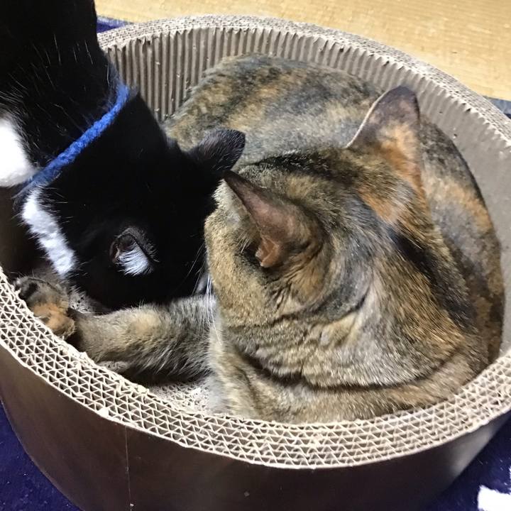 C072a12f 9862 4a9d 89f0 91fb92de419e 1708076728668